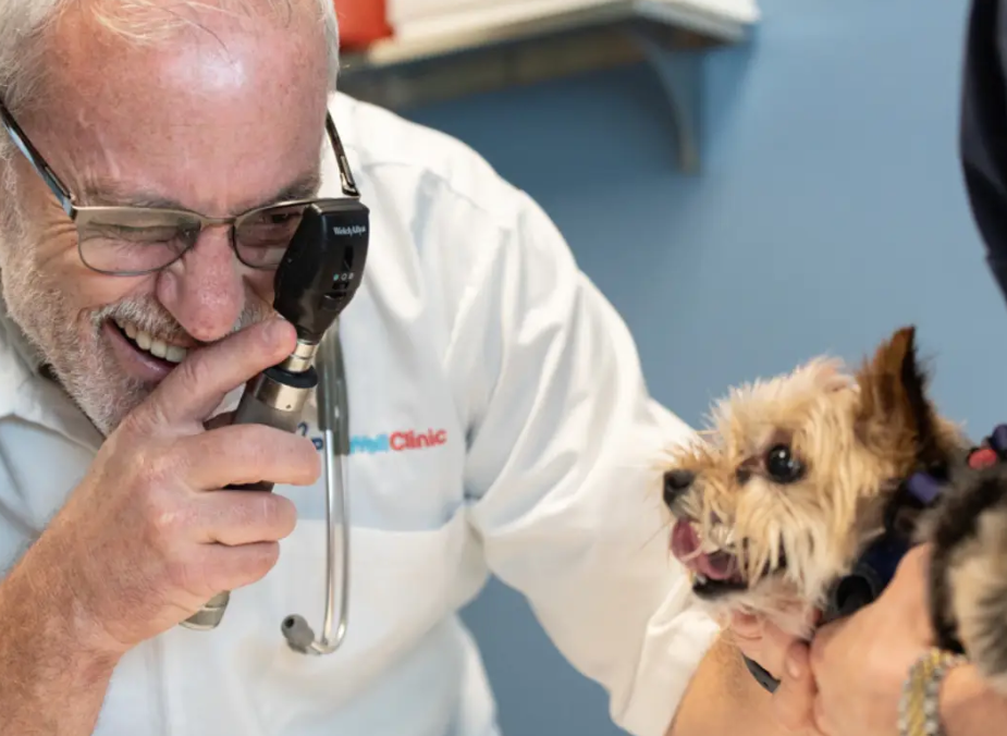 PetWellClinic in Phoenix, Arizona